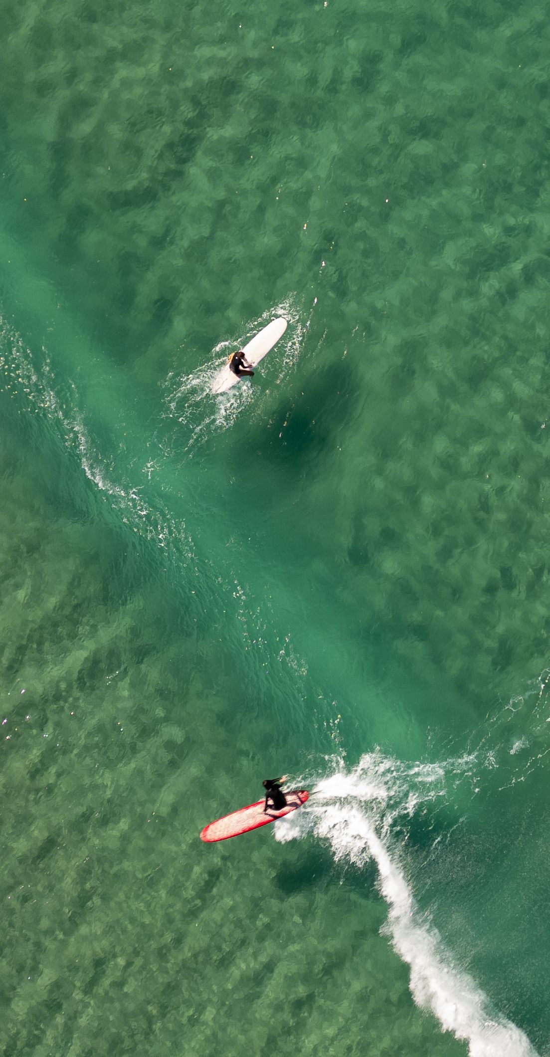 A surfer rides a wave in clear turquoise waters, creating a white wake behind their board.