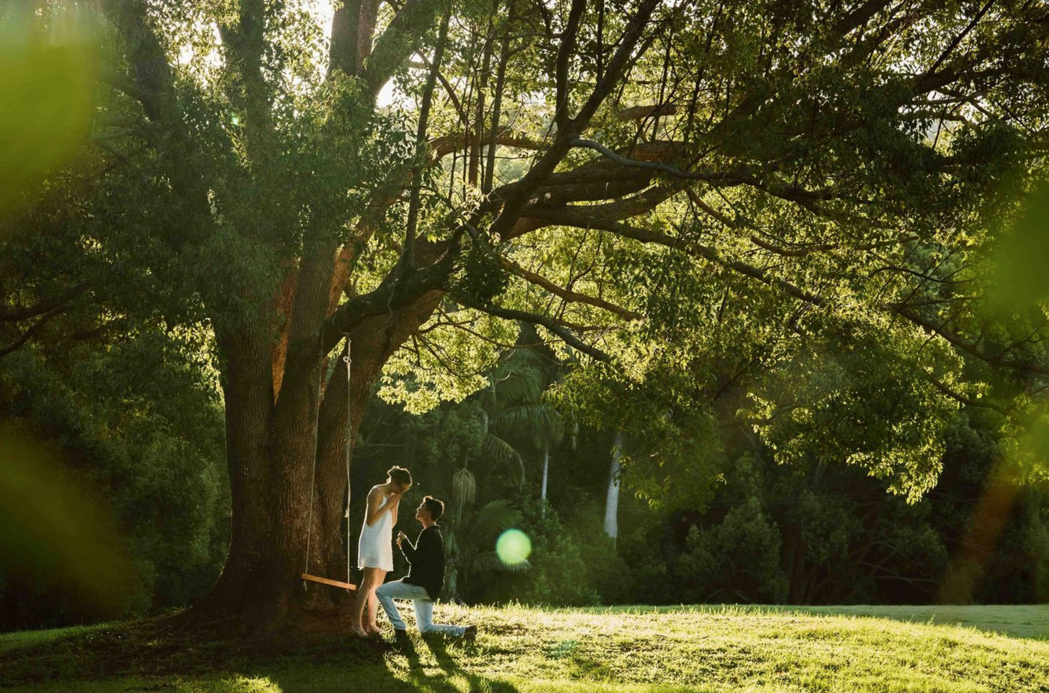 Sunlit forest path with green trees creating a natural tunnel effect.