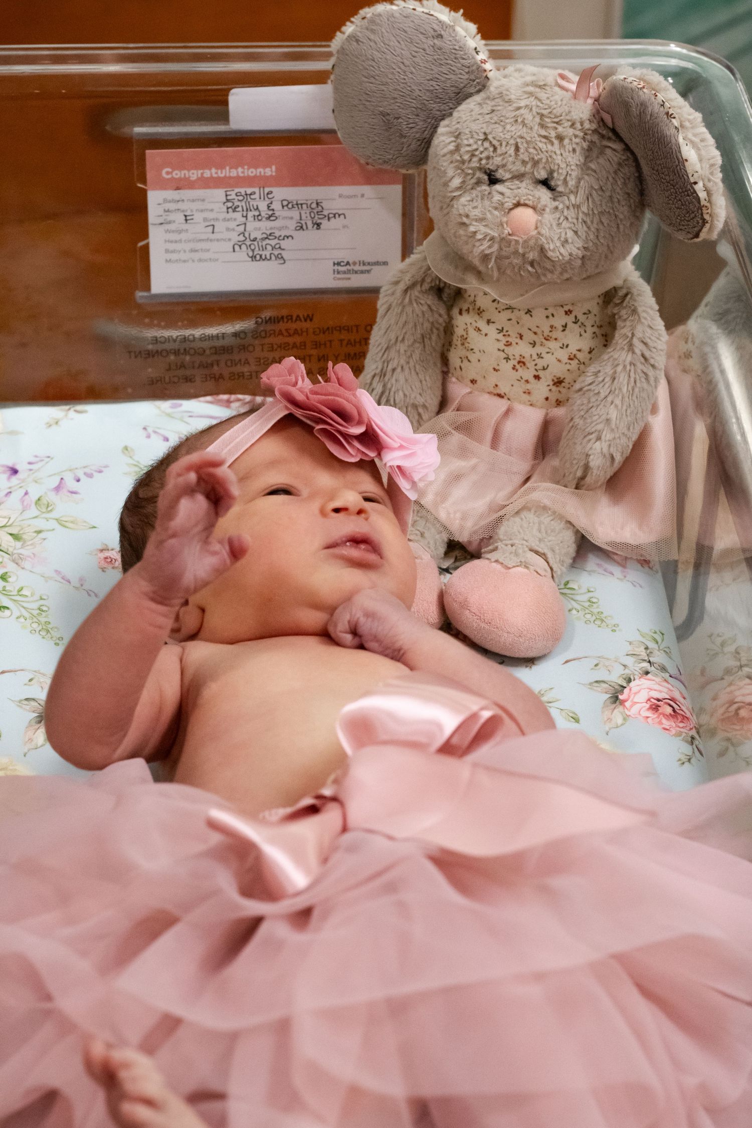 Newborn baby girl in pink tutu with floral headband lies beside a stuffed mouse toy in hospital bassinet.