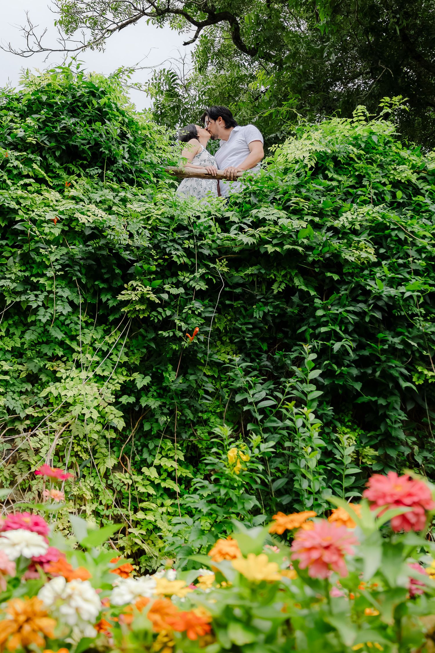 Couple kissing above lush green hedge in a garden with colorful flowers in the foreground.
