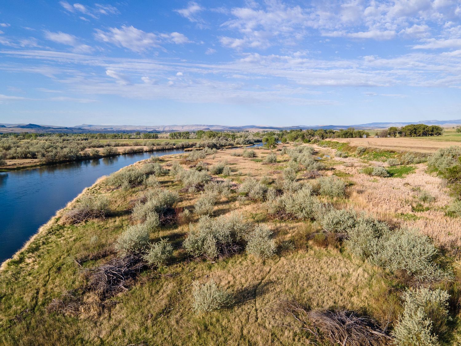 Aerial view of a winding river through sagebrush wetlands under a blue sky with wispy clouds in a rural landscape.