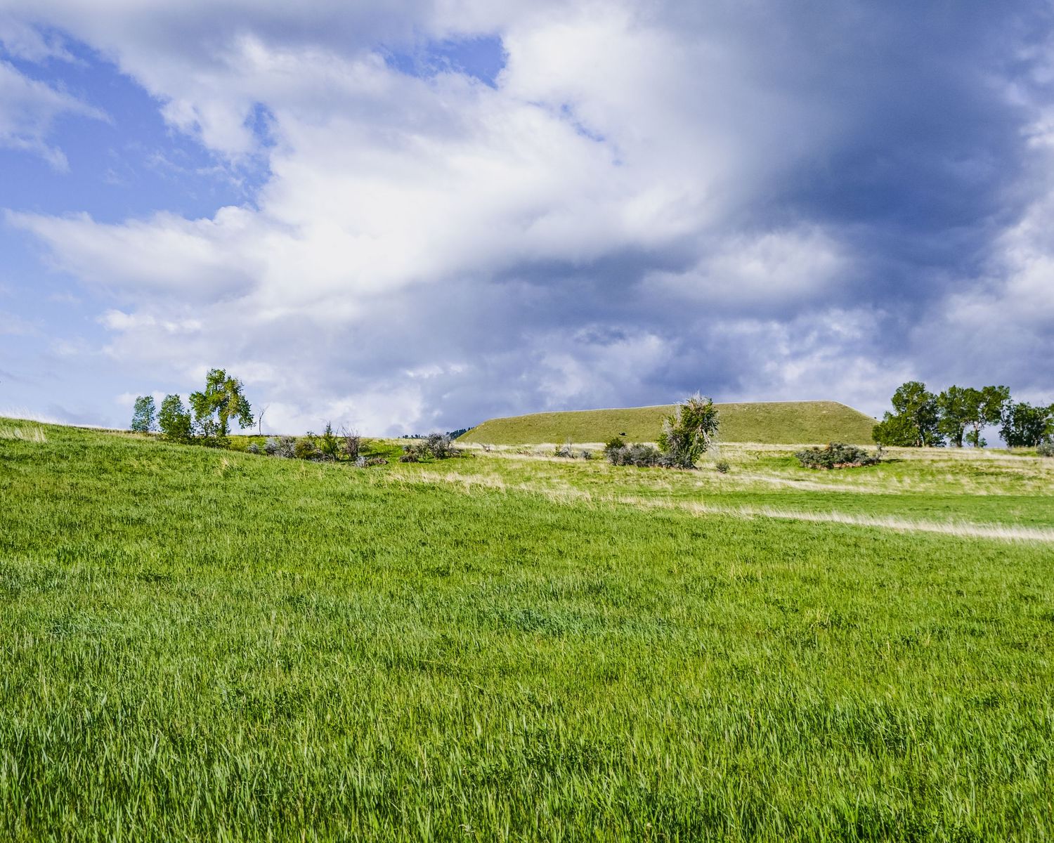 Panoramic view of lush green hillside meadows under dramatic cloudy sky.