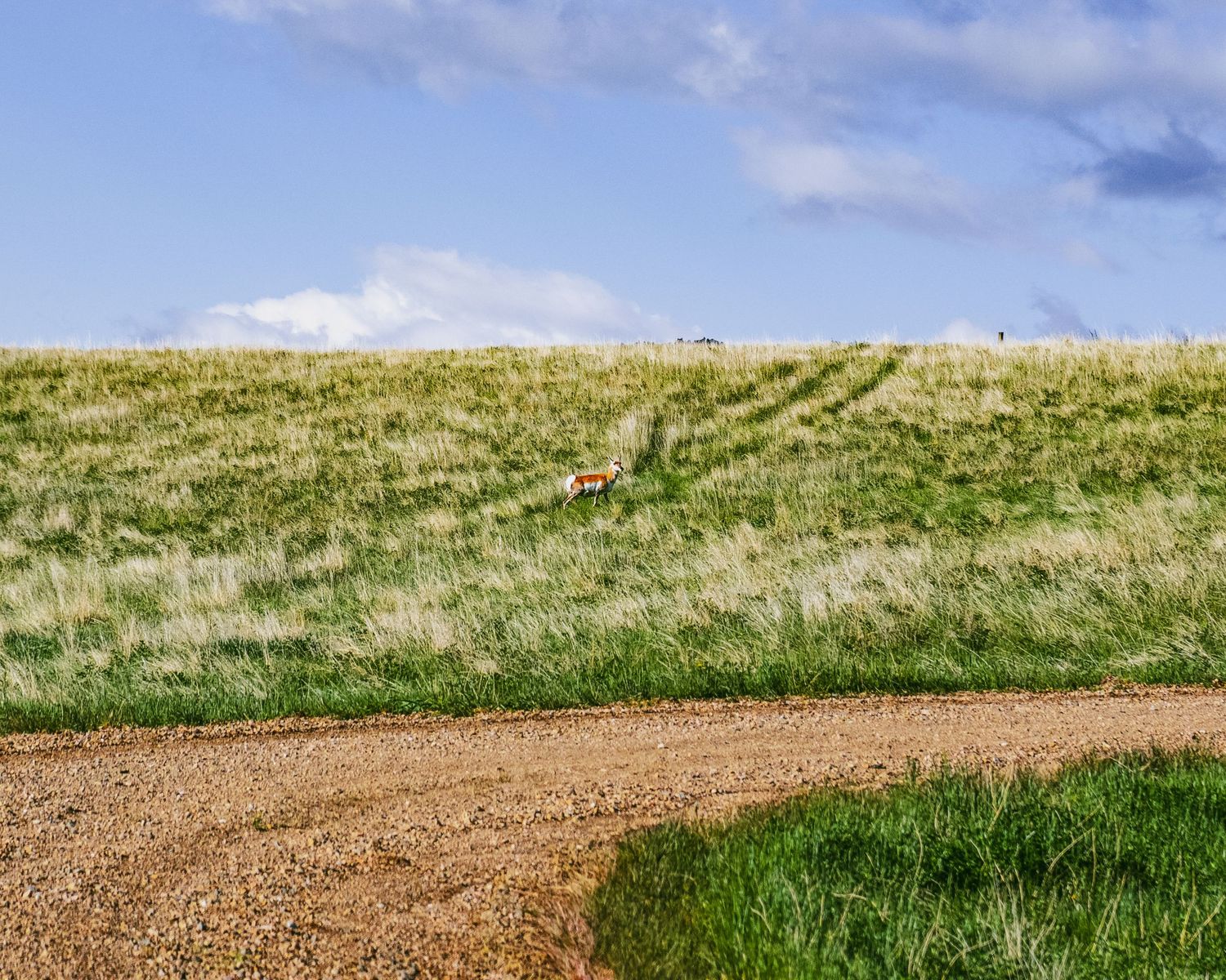 A dirt path cuts through green rolling hills under a blue sky with scattered clouds.