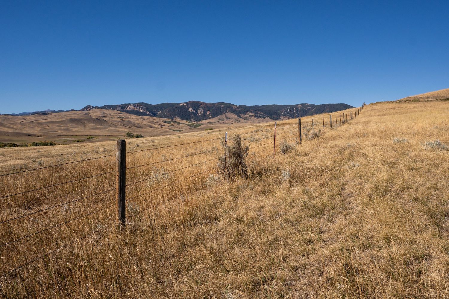 Golden grassland with wooden fence posts stretching toward rugged mountain range under clear blue sky in rural Wyoming.