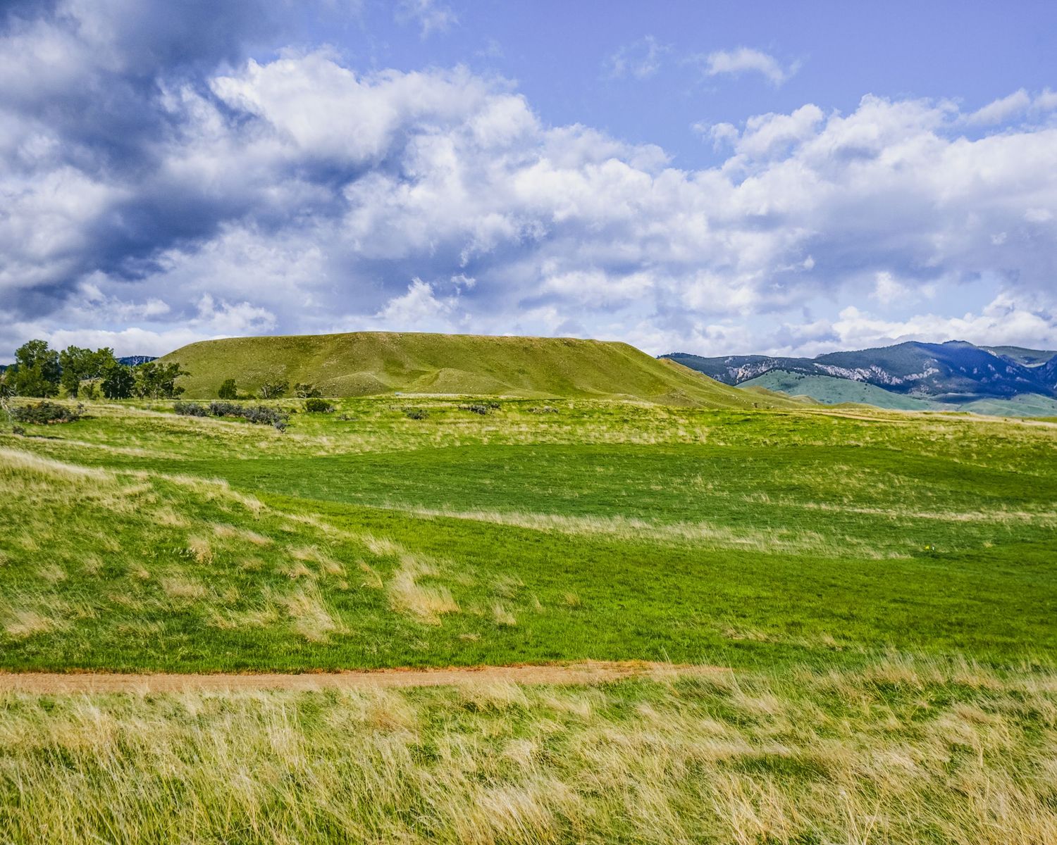 Rolling green hills and mountains under puffy white clouds in a summer landscape.