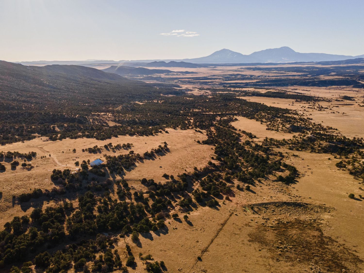 Aerial view of vast arid grasslands with scattered trees, rolling hills, and distant mountains under a clear sky.