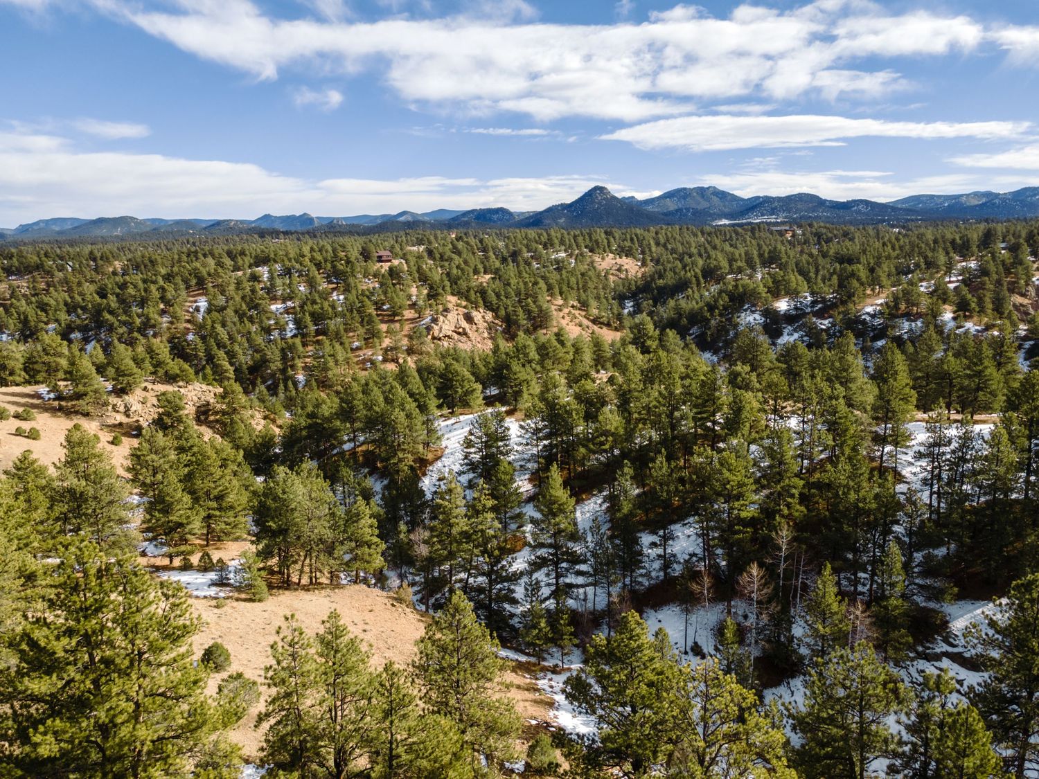 Panoramic winter mountain landscape with evergreen forest and patches of snow covering the terrain.