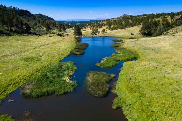 Aerial view of a winding river through lush green meadows and pine forests under a clear blue sky.