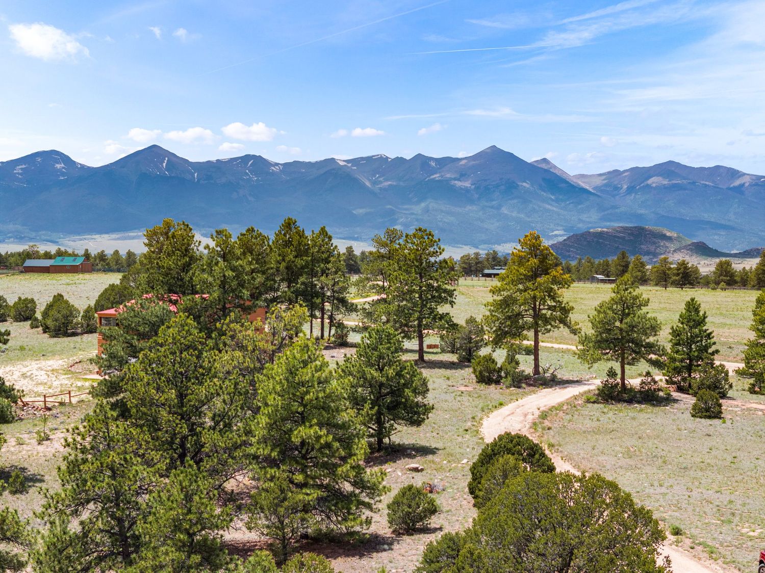 Panoramic Rocky Mountain landscape with pine trees, open meadows, and a winding dirt path under a bright blue sky.