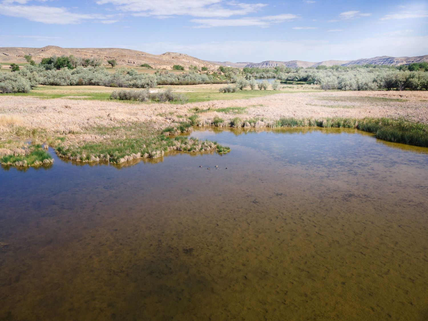 Aerial view of a shallow wetland pond with aquatic vegetation, surrounded by dry grasslands and rolling hills under a blue sky.