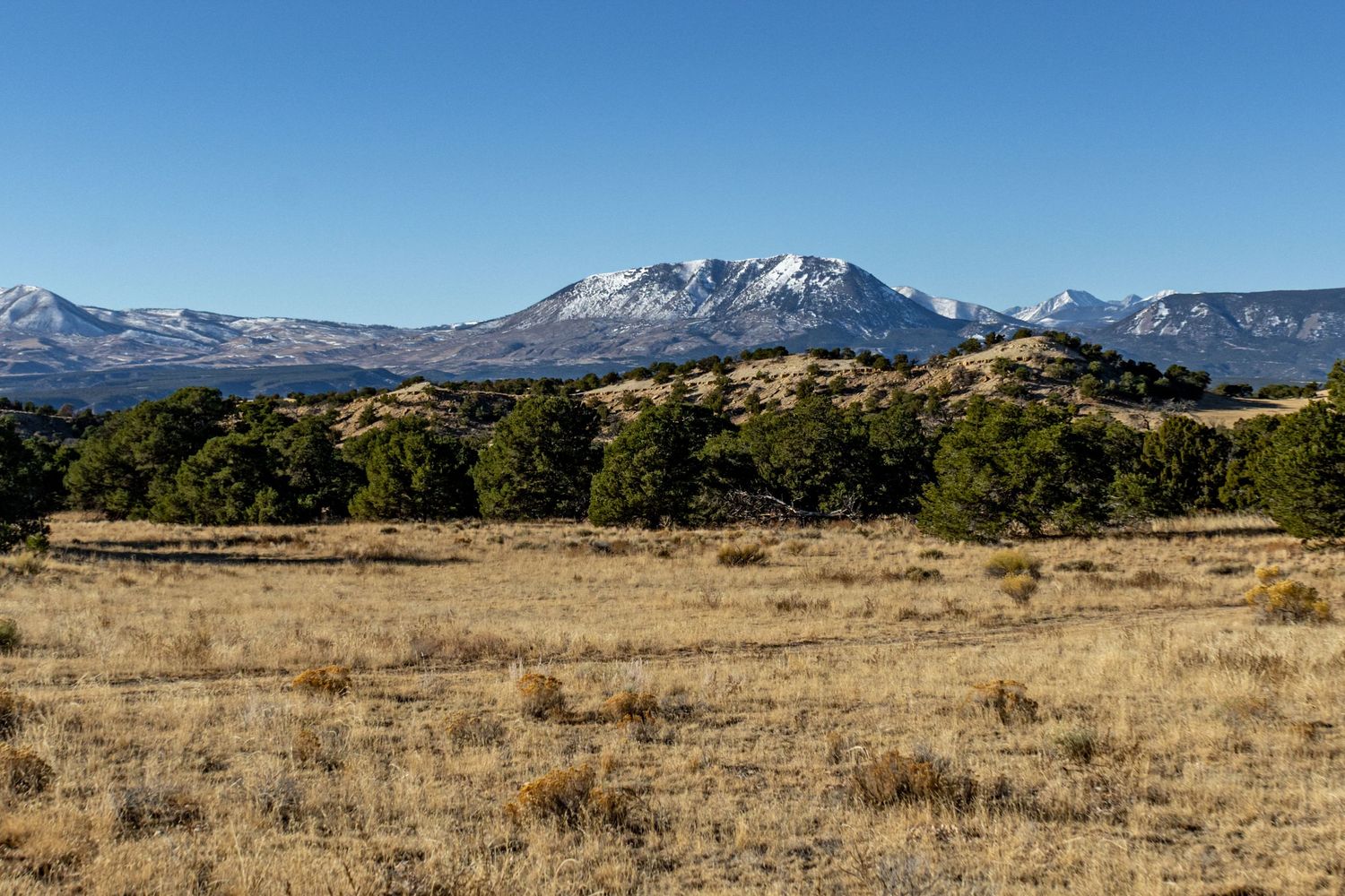 Panoramic view of snow-capped mountains rising above arid grasslands under clear blue skies.