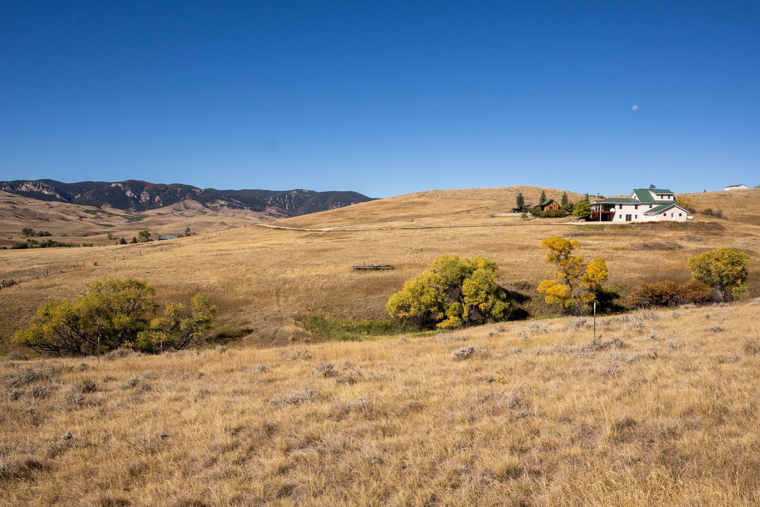 Golden grassland landscape with a white farmhouse nestled among autumn trees, rolling hills, and a clear blue sky in the background.