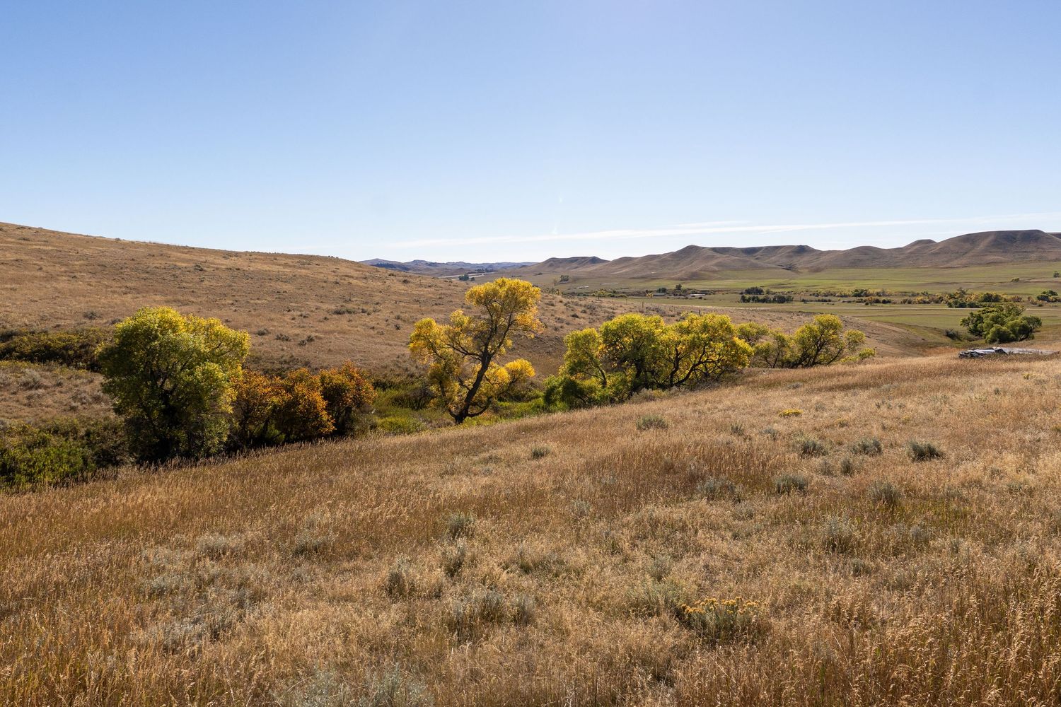 Golden grassland valley with yellow-leafed trees, rolling hills, and clear blue sky in autumn landscape.