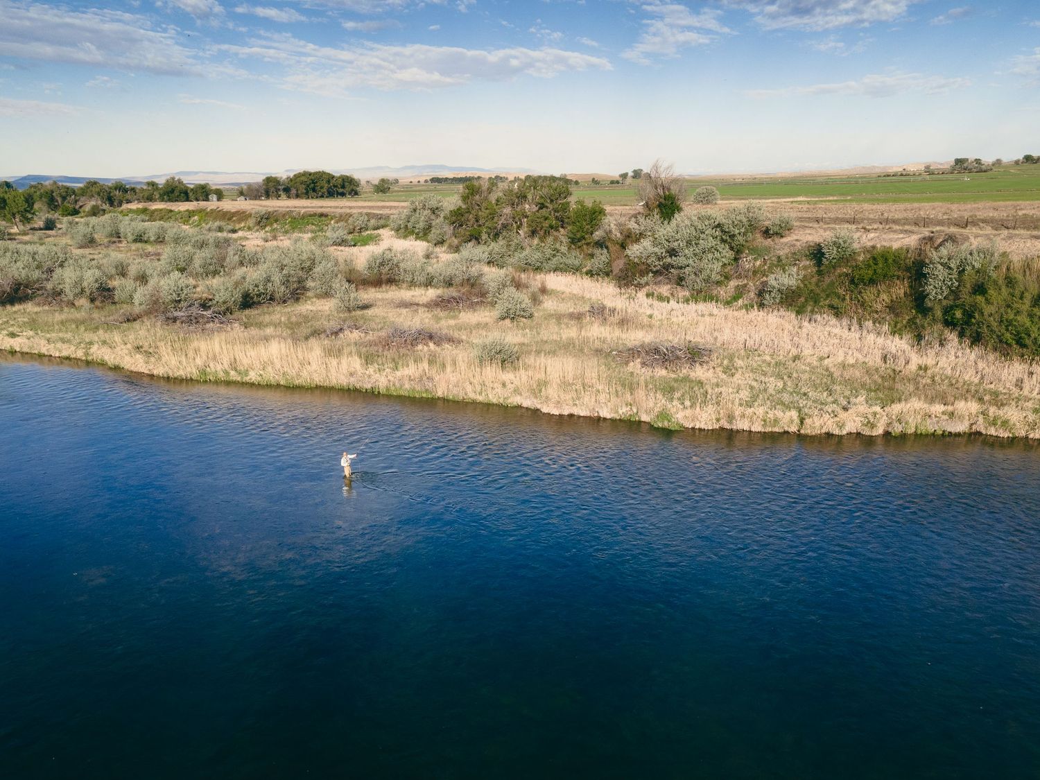 Aerial view of a person stand-up paddleboarding on a calm blue river surrounded by lush green vegetation.