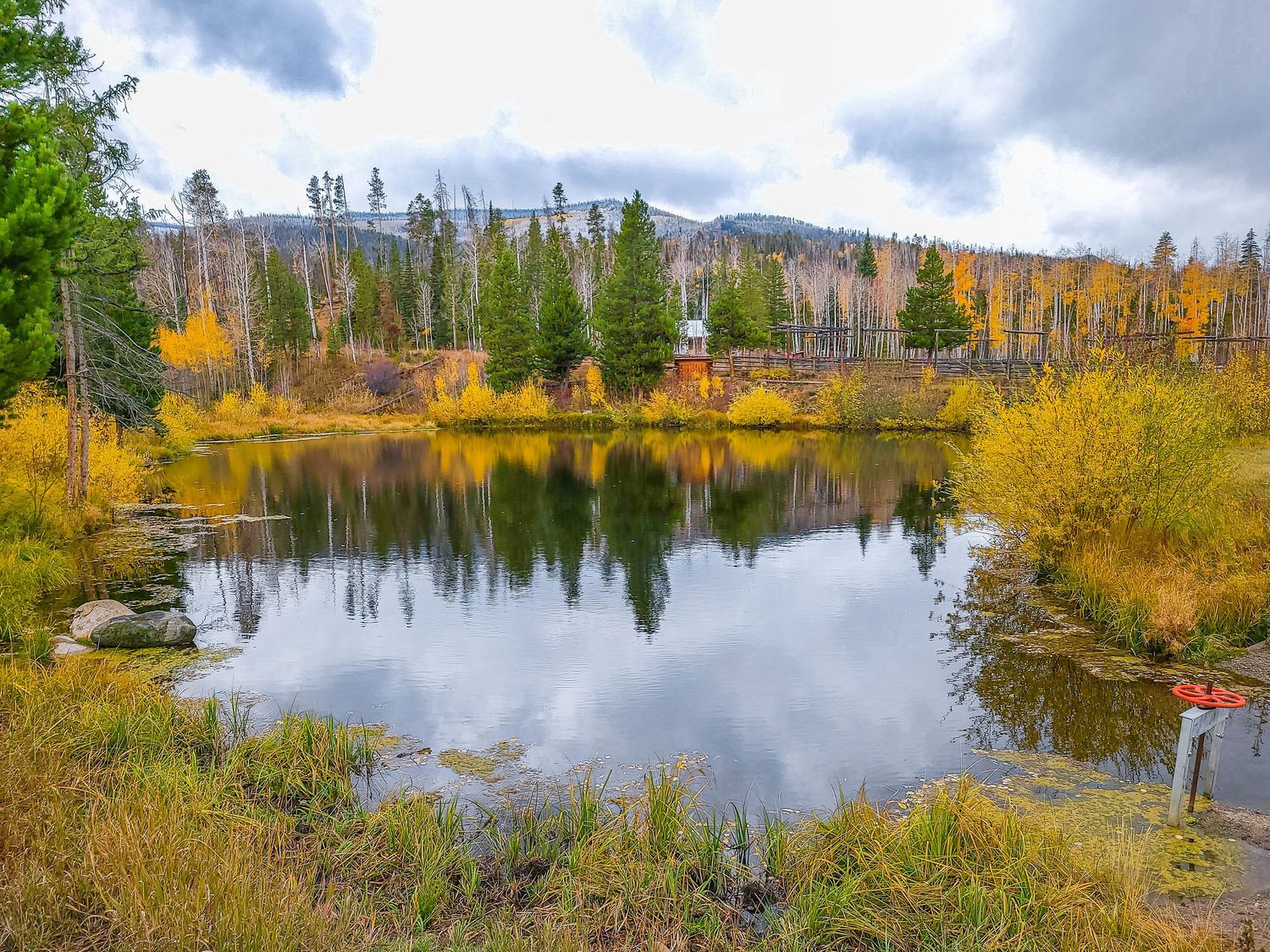 Serene autumn pond reflecting colorful yellow and green trees under cloudy skies in a mountain forest landscape.