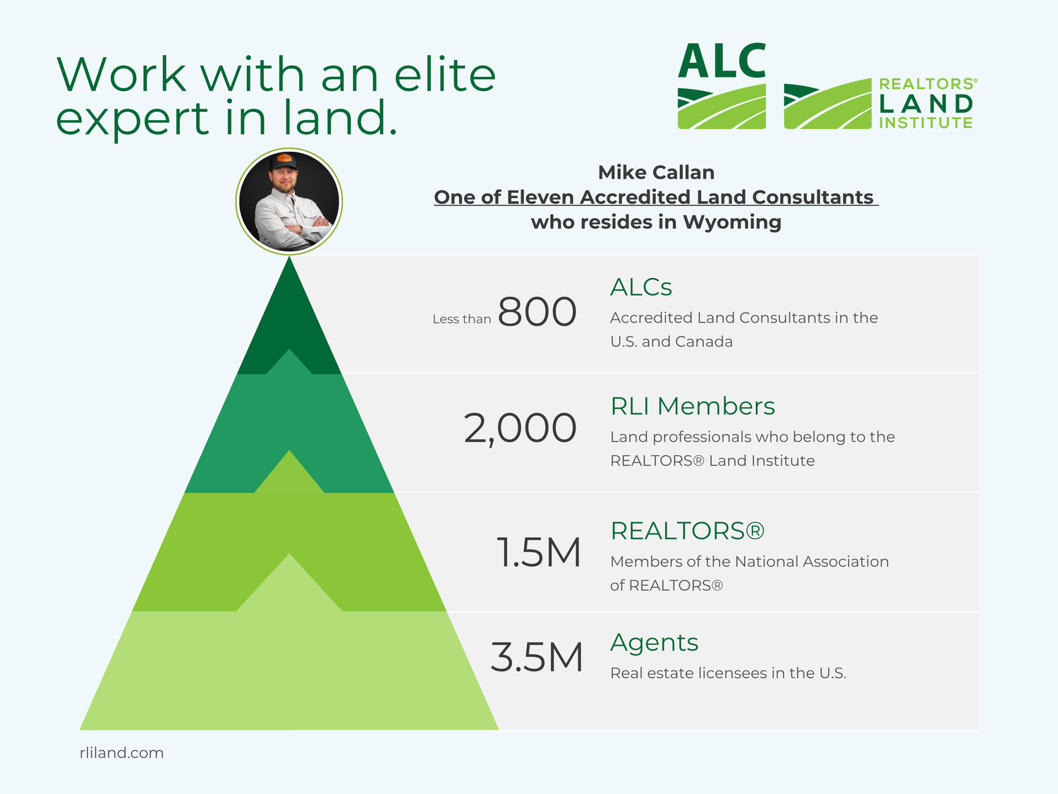 Infographic showing green triangular shapes with statistics about ALC, RLI members, REALTORS and agents in ascending order.