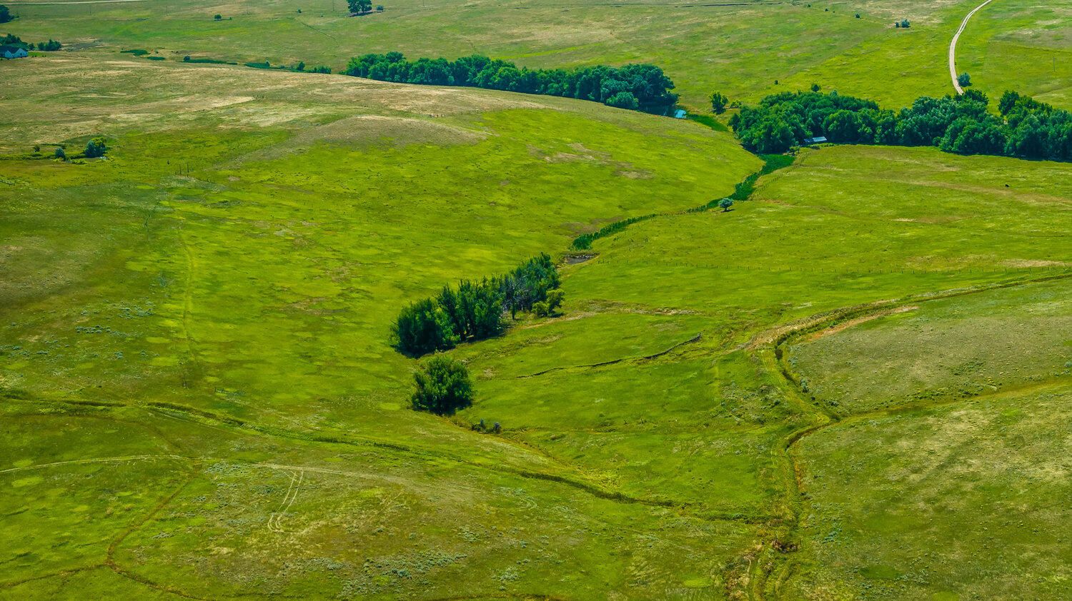 Aerial view of lush green rolling meadows with a winding tree line cutting through the landscape.