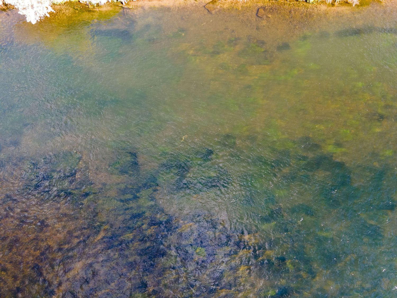Clear shallow river water revealing colorful rocks and aquatic plants on the riverbed below.