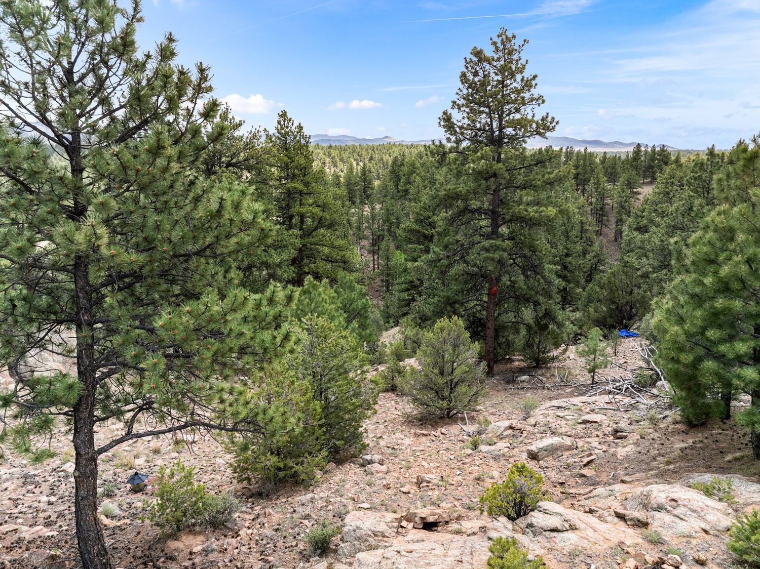 Rocky hillside overlook with dense pine forest and expansive mountain valley views under blue sky in Colorado.