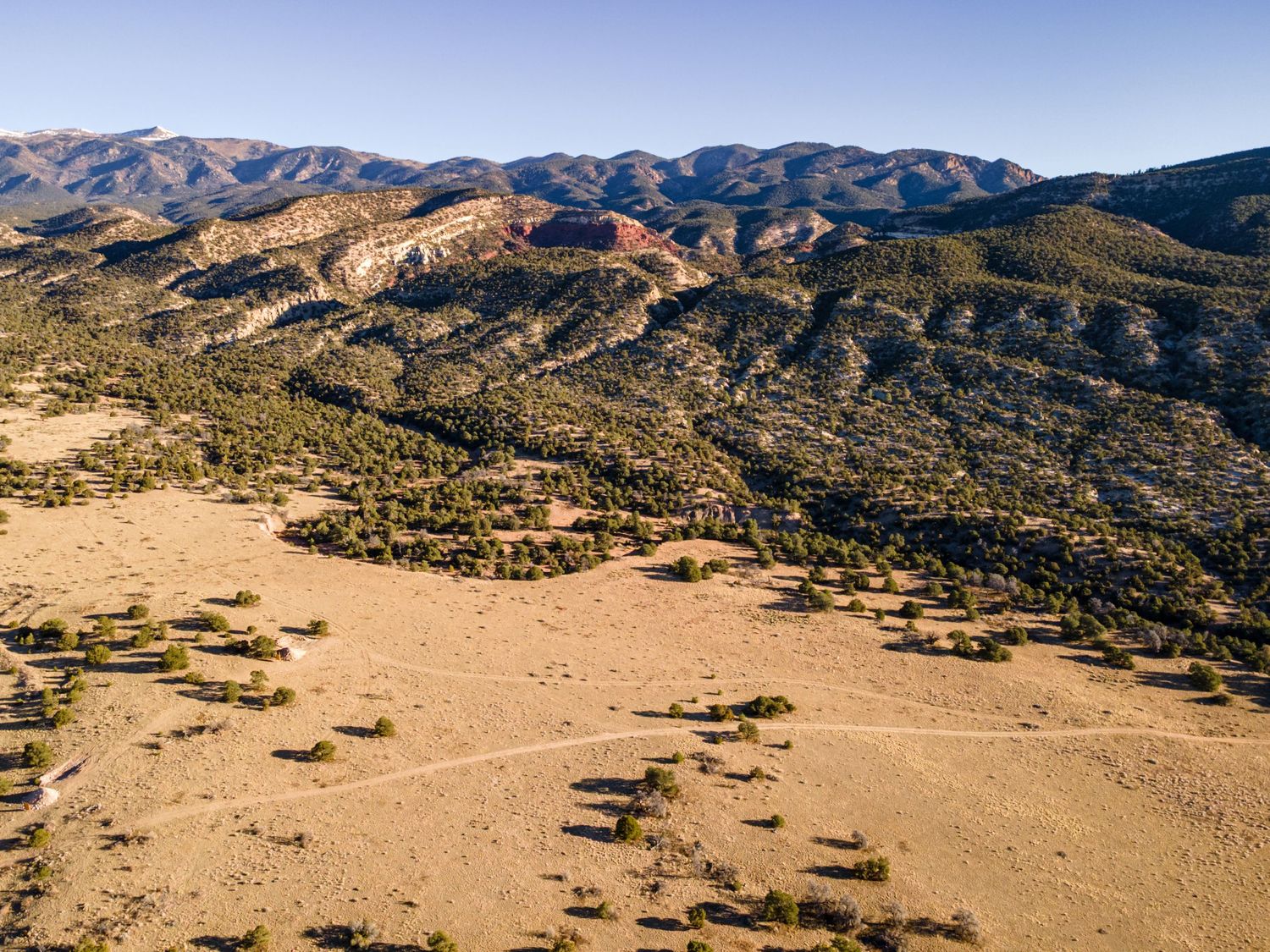 Panoramic desert vista showing rolling hills and distant mountain ranges.