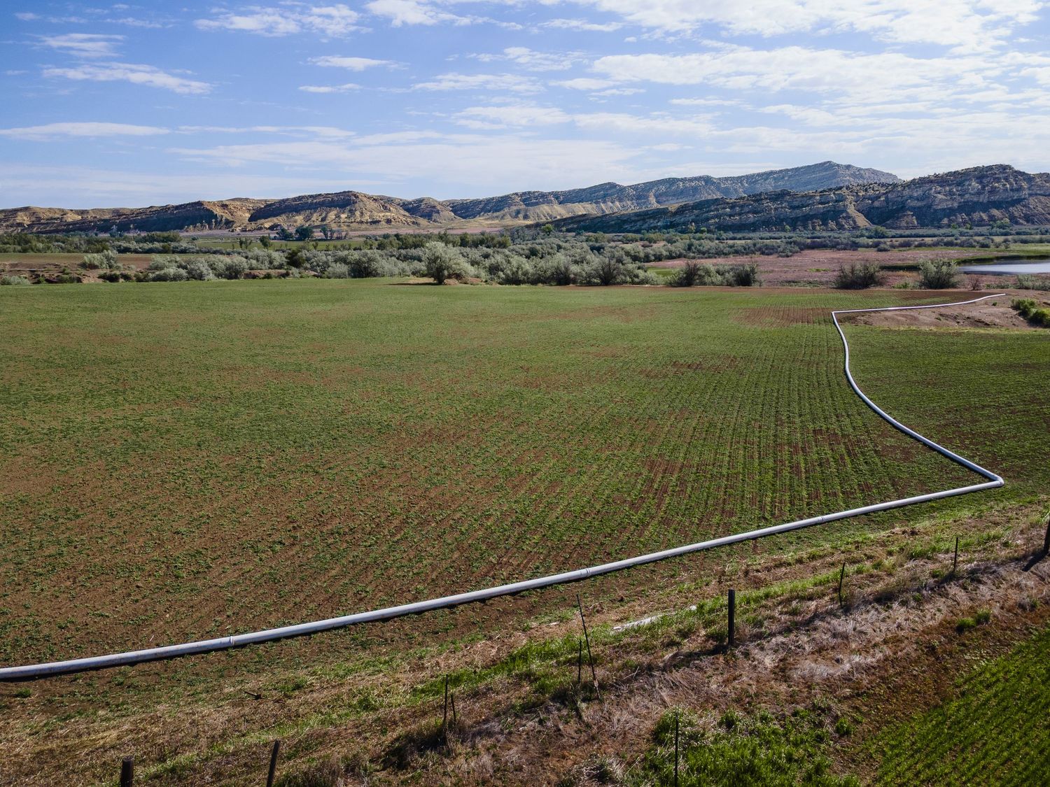 Aerial view of lush green farmland with rows of crops, a winding road, and dramatic desert buttes under a blue sky.