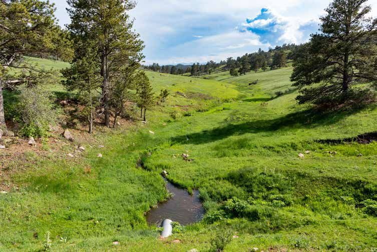 A serene mountain stream flows through a lush green valley meadow surrounded by pine trees under a partly cloudy sky.