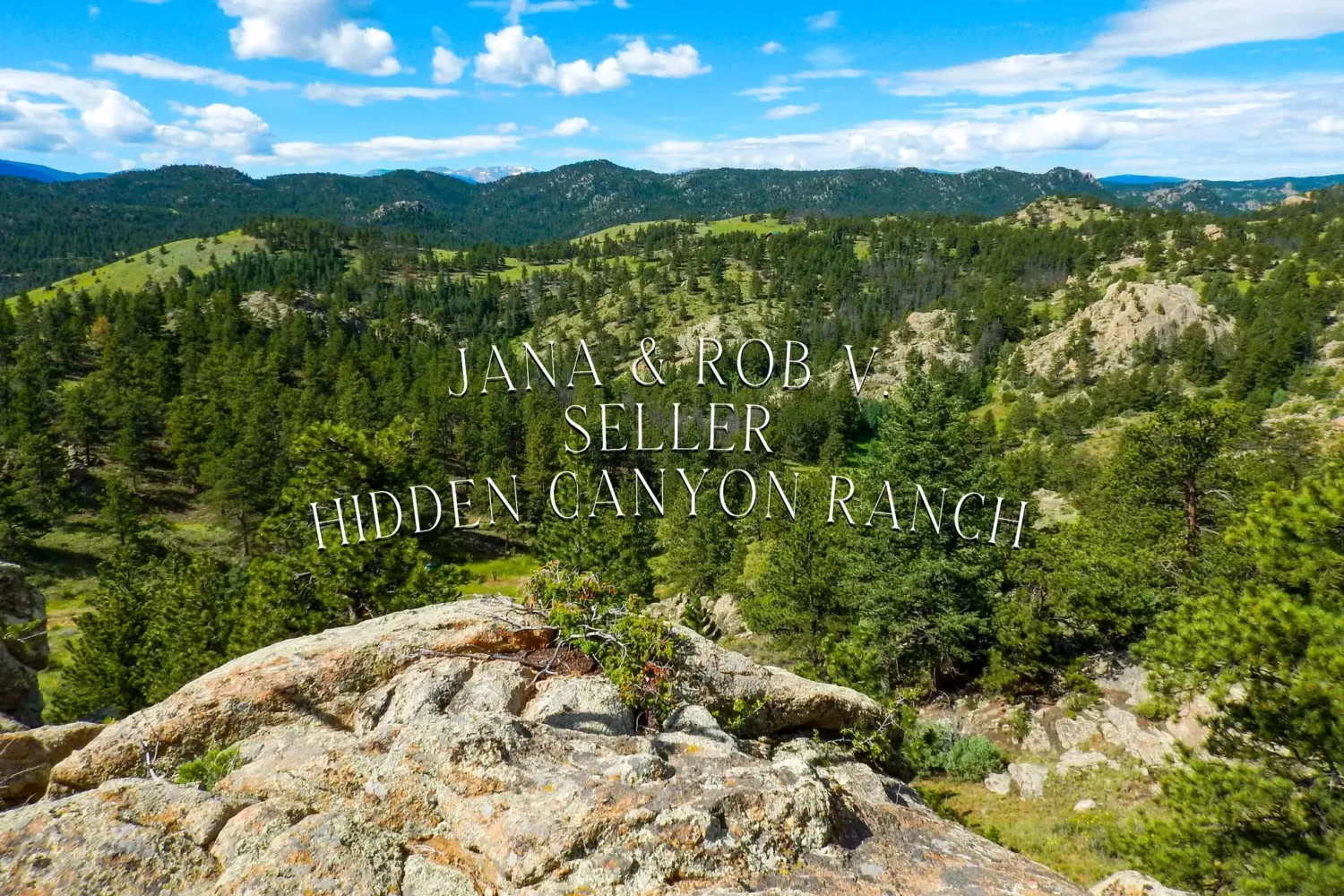 Panoramic mountain vista showing forested peaks and valleys under blue summer skies.