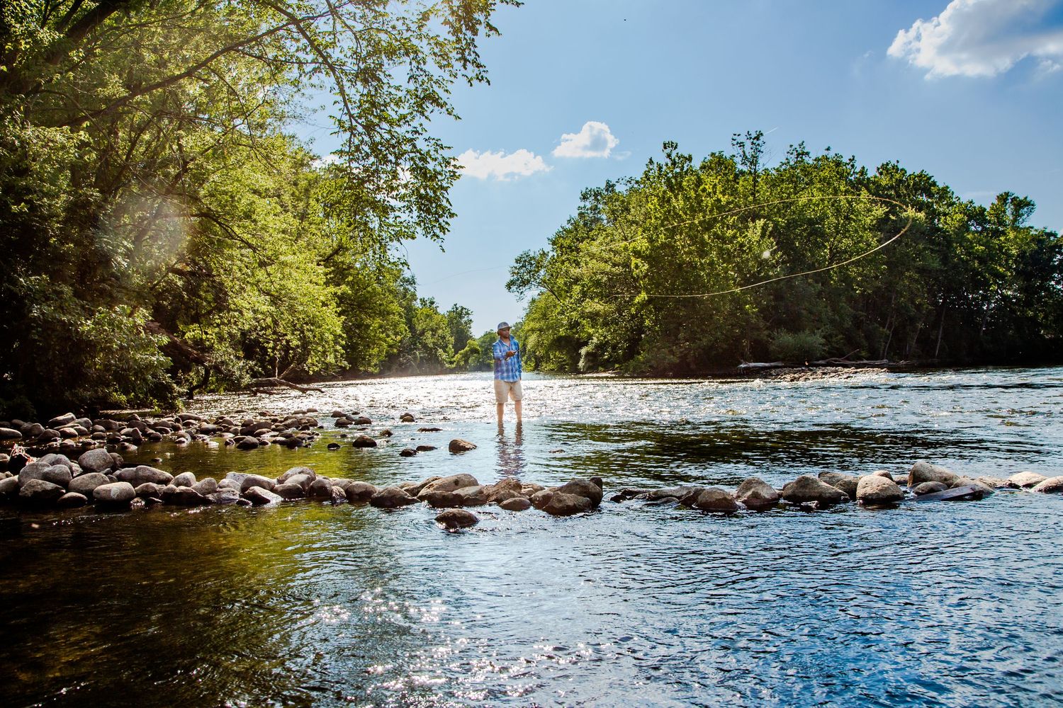 Person standing on rocks in a shallow river surrounded by lush green trees on a sunny day.