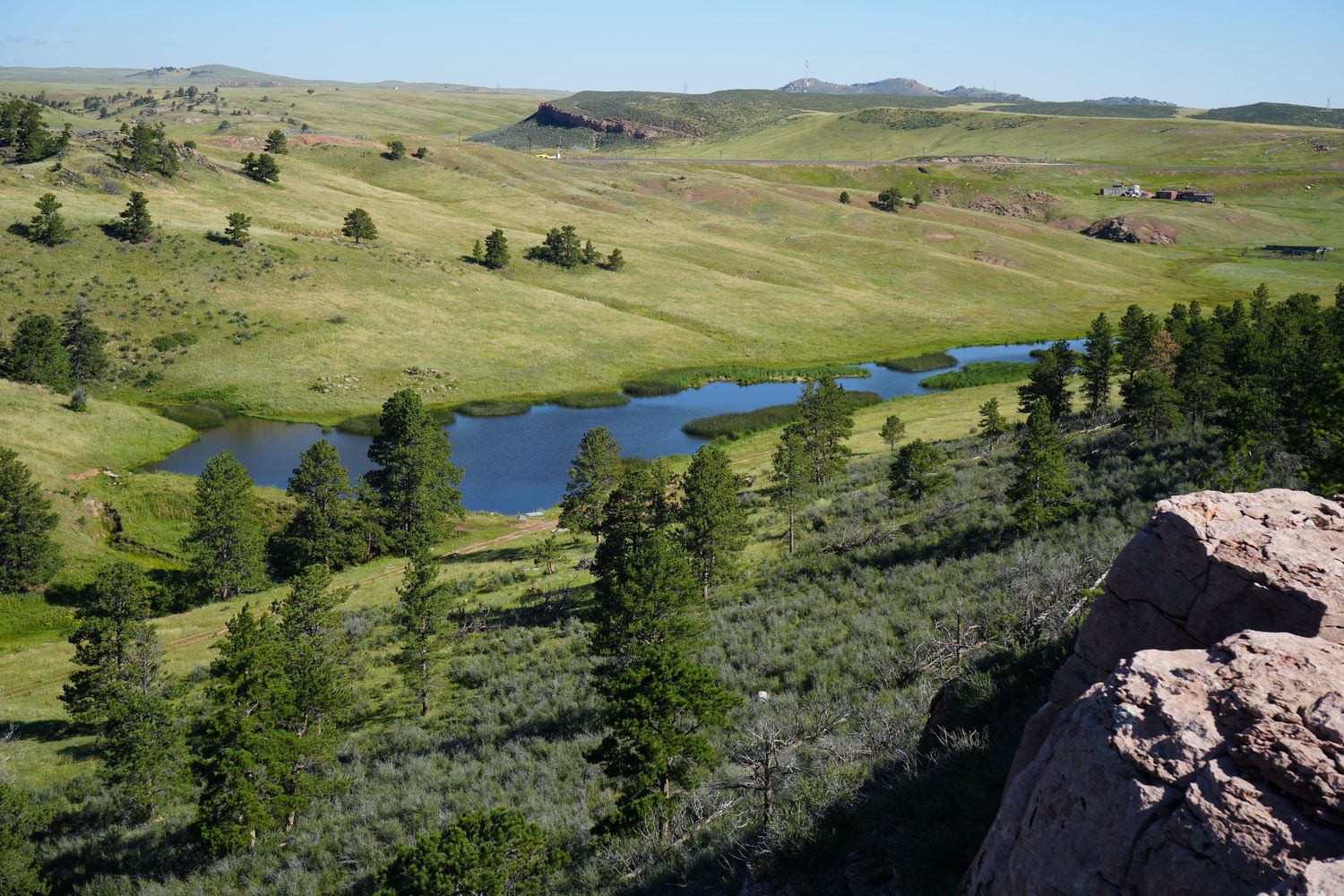 Aerial view of a serene pond surrounded by pine trees and lush green rolling hills under a clear blue sky.