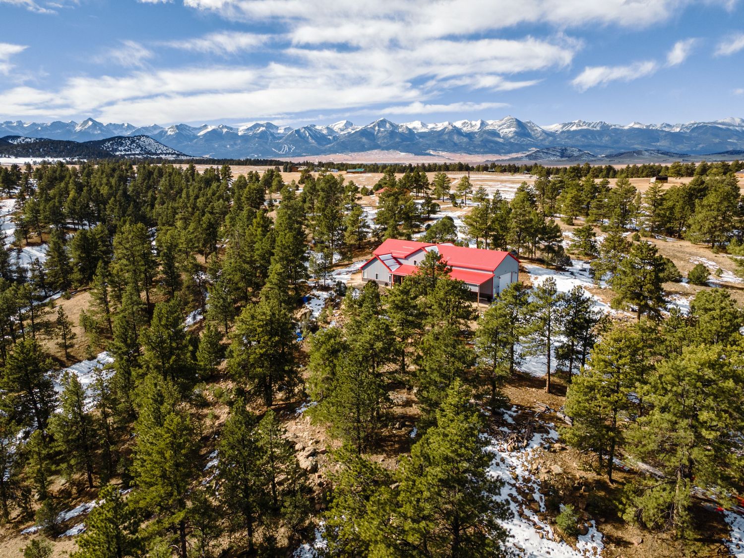Sweeping mountain vista with snow-capped peaks and evergreen forest under bright blue skies.