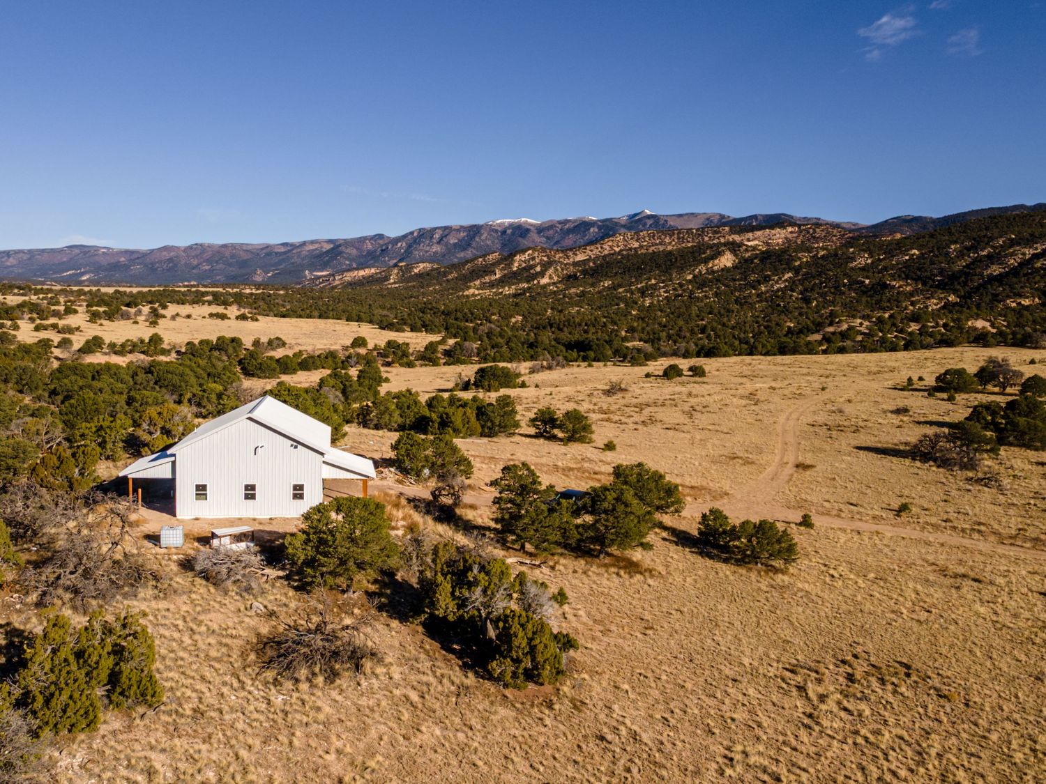 Aerial view of a white barn surrounded by juniper trees in a vast golden meadow with mountain foothills under blue sky.
