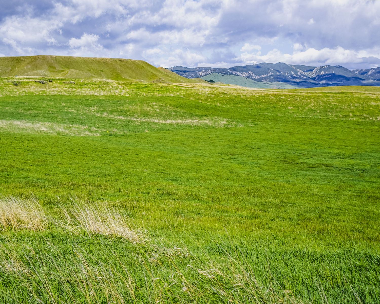 Rolling green hills stretch across a vast landscape under puffy white clouds and blue skies.