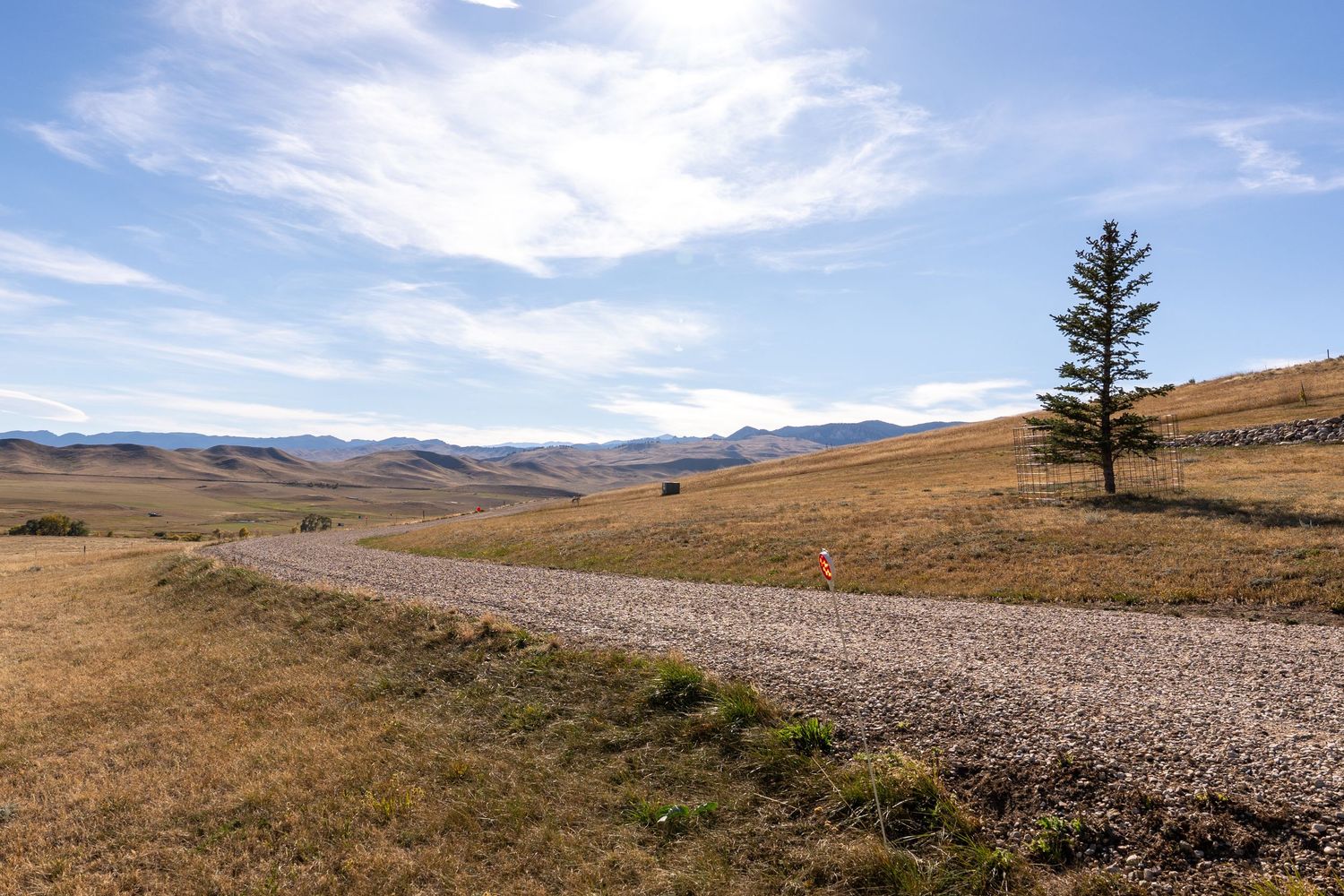 A gravel road winds through golden rolling hills under a blue sky, with a lone pine tree and distant mountains.
