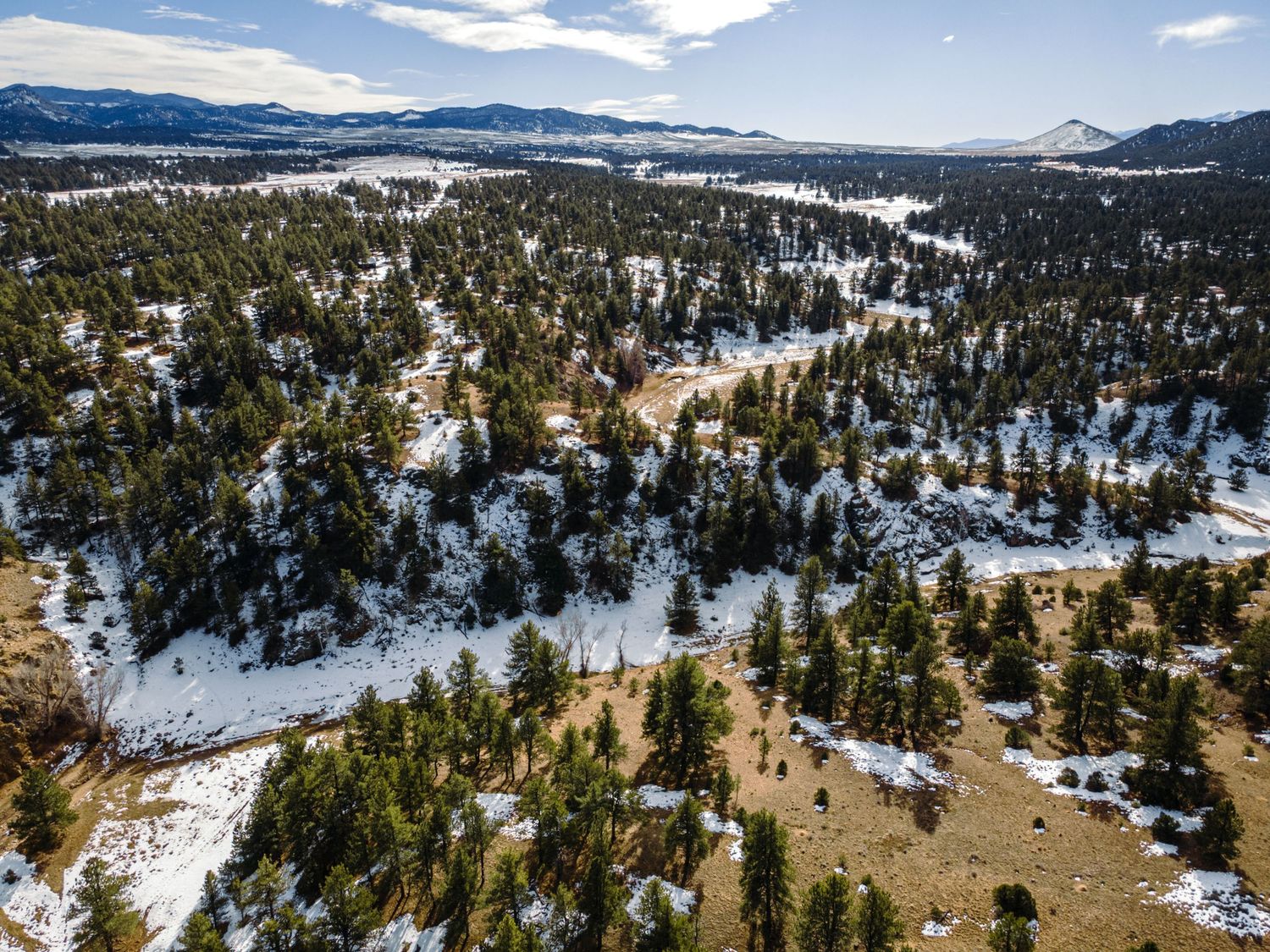 Snowy mountain terrain with dense evergreen forest and natural clearings from above.