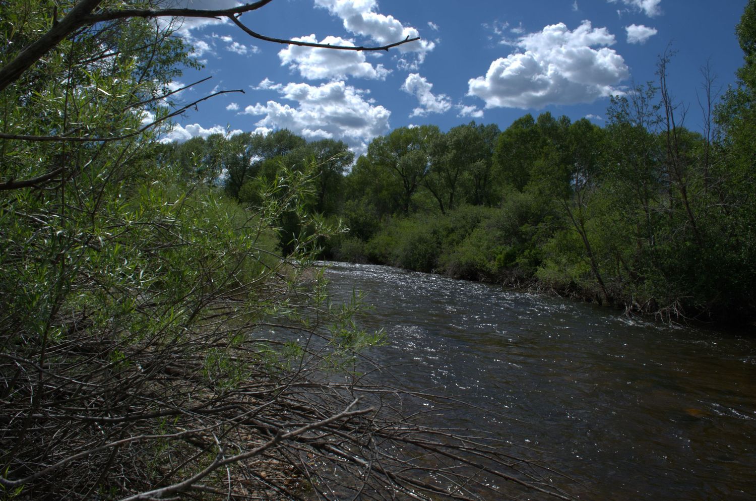 A scenic Wyoming river flows through lush trees under a blue sky with white clouds in a peaceful natural landscape on a luxury ranch.