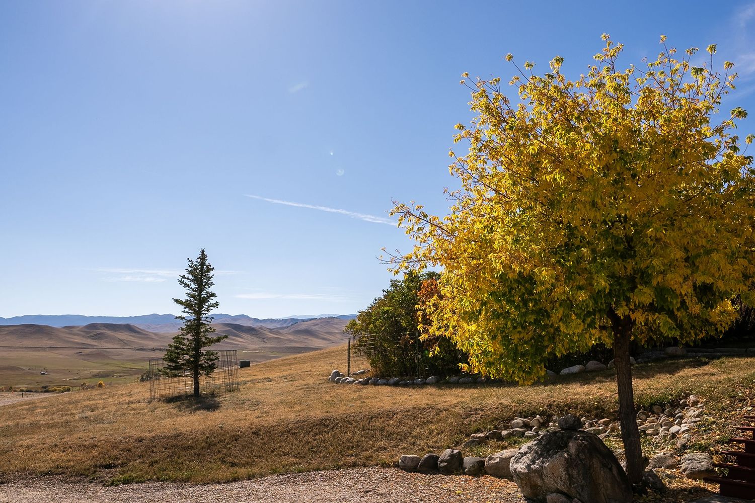 Autumn landscape with yellow trees and evergreen against rolling hills under a clear blue sky.