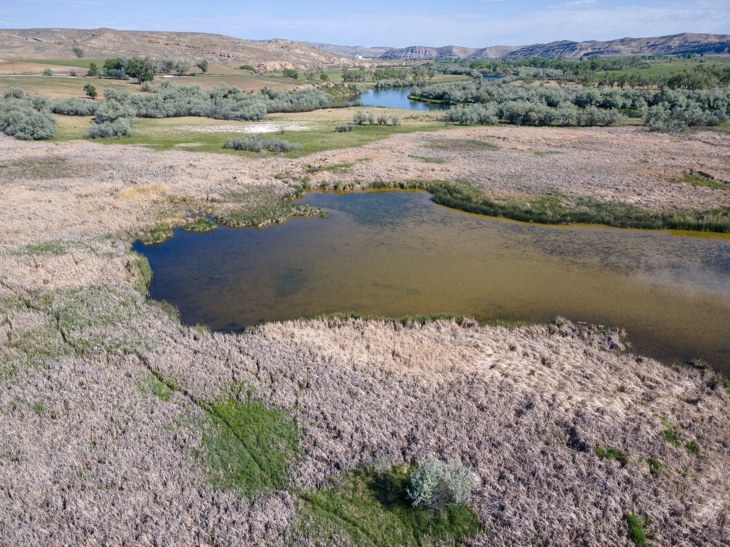 Aerial view of a shallow pond surrounded by dry grassland and green shrubs in a semi-arid valley landscape.