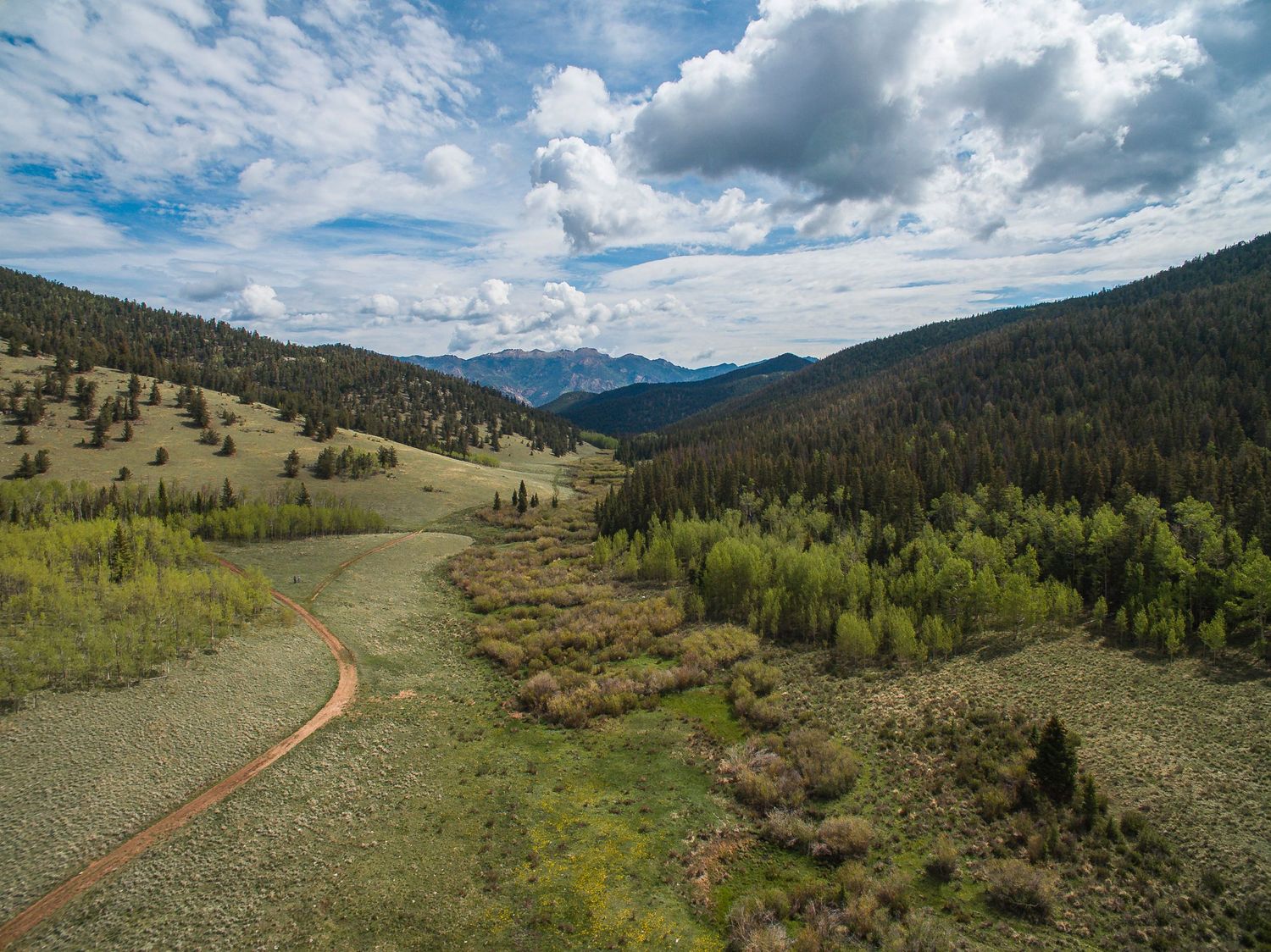 Aerial view of a winding dirt path through a lush mountain valley surrounded by pine forests and peaks under a cloudy sky.