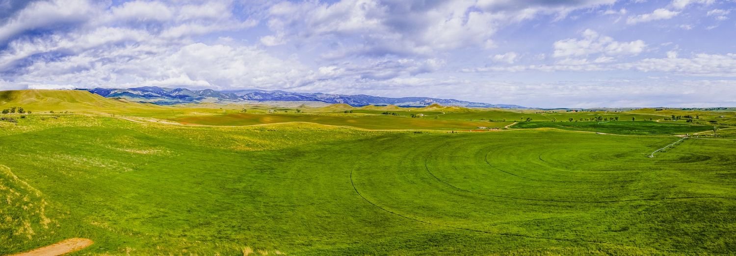 Rolling green hills and meadows stretch across a vast landscape under blue skies and mountain ranges in the distance.