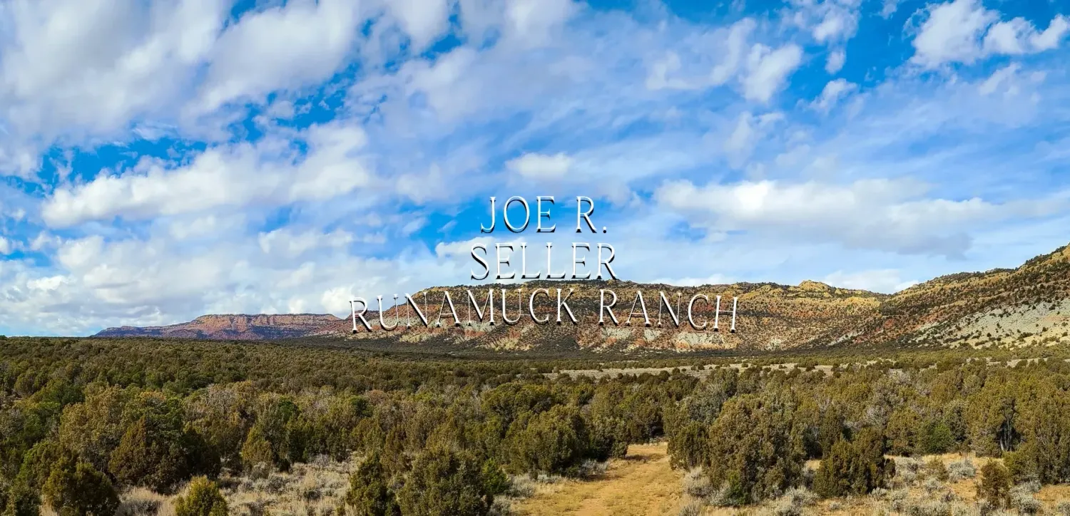 Sweeping landscape view of rugged mountain terrain under bright blue skies with scattered white clouds.
