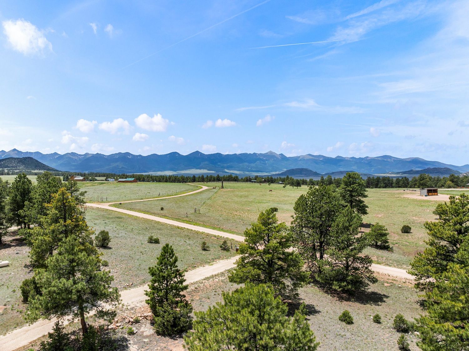 Expansive green meadow with pine trees, dirt road, and stunning Rocky Mountain range in the distance.