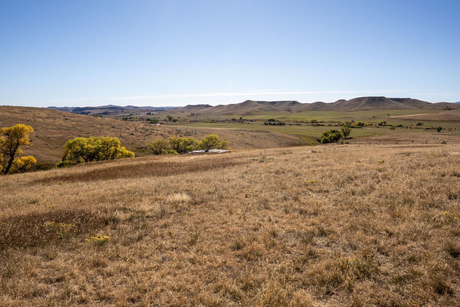 Vast golden grassland prairie landscape with rolling hills, scattered trees, and clear blue sky in a rural countryside setting.