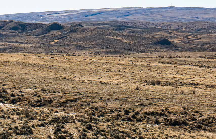 Vast arid steppe landscape with sparse shrubs and rolling hills stretching to distant mountains.