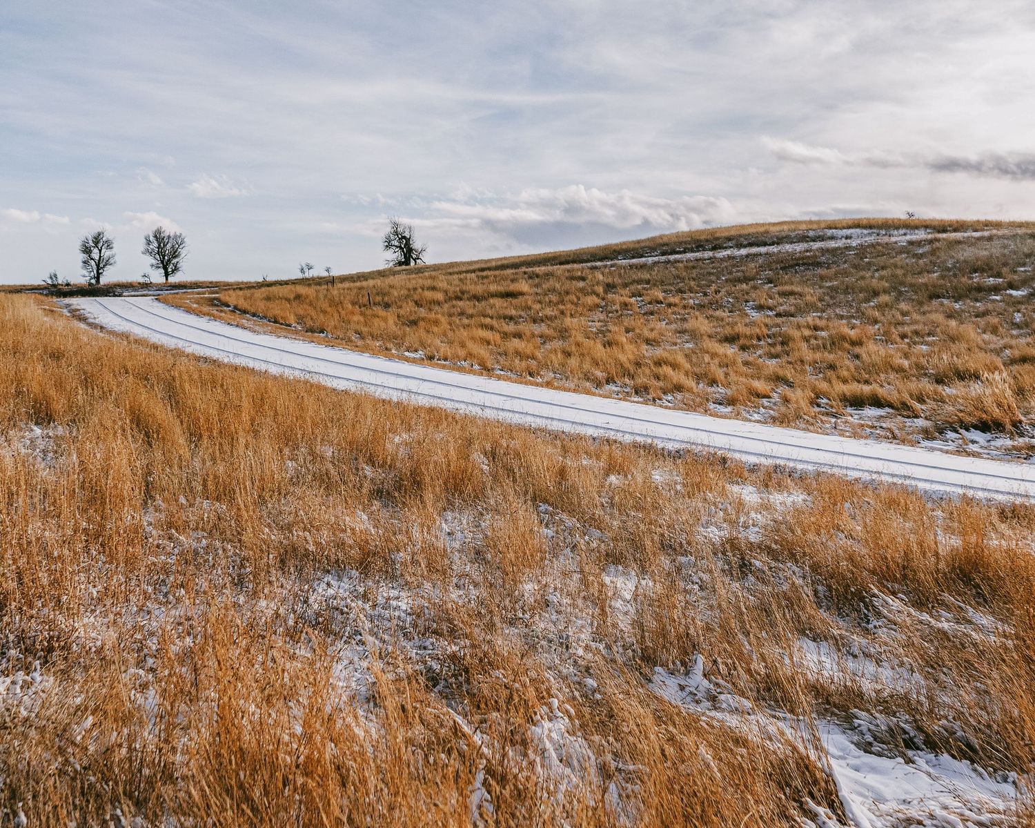 Winter prairie scene with snow patches and tall golden grass under cloudy skies.