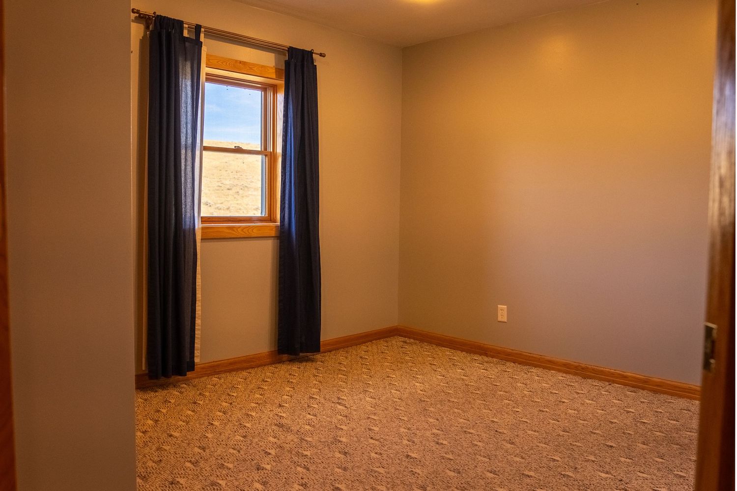 Empty bedroom with beige carpet, blue curtains, and a single window letting in natural light.