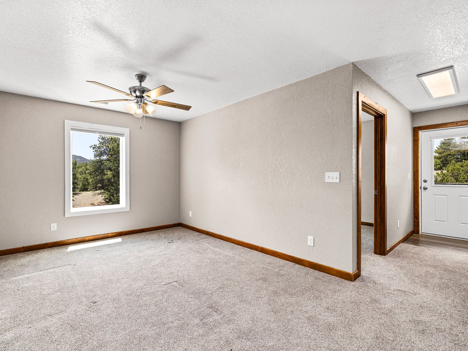 Bright empty room with beige carpet, neutral walls, ceiling fan, and natural light from a window with tree views.