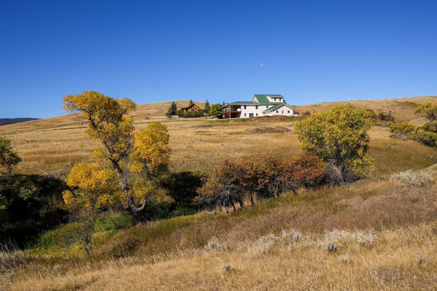 A white farmhouse with green roof nestled among autumn trees on golden rolling prairie hills under a clear blue sky.
