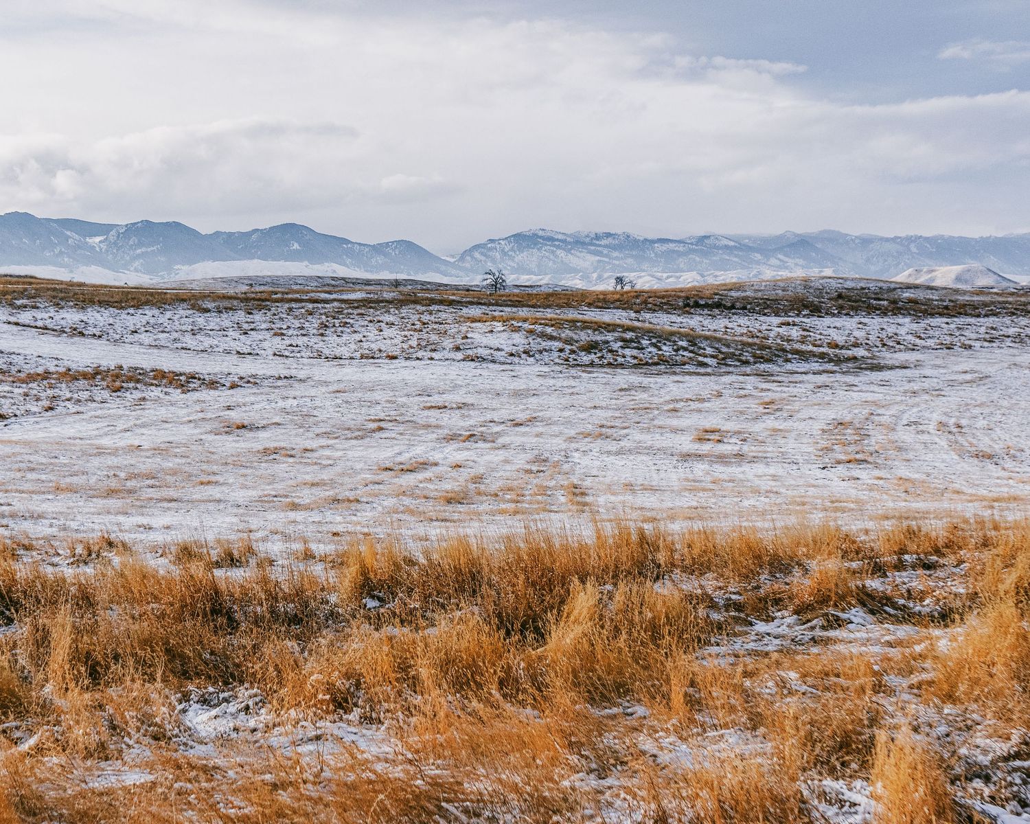 Snow-dusted prairie with golden grass and mountain ranges on the horizon.