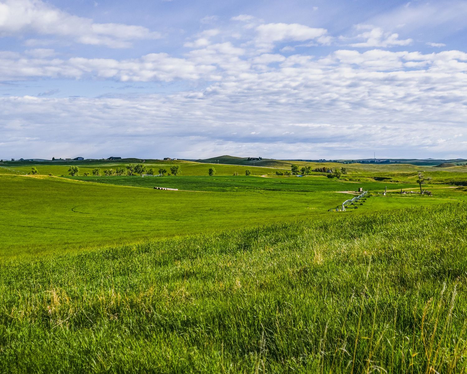 Expansive green prairie landscape extends to the horizon under scattered clouds.