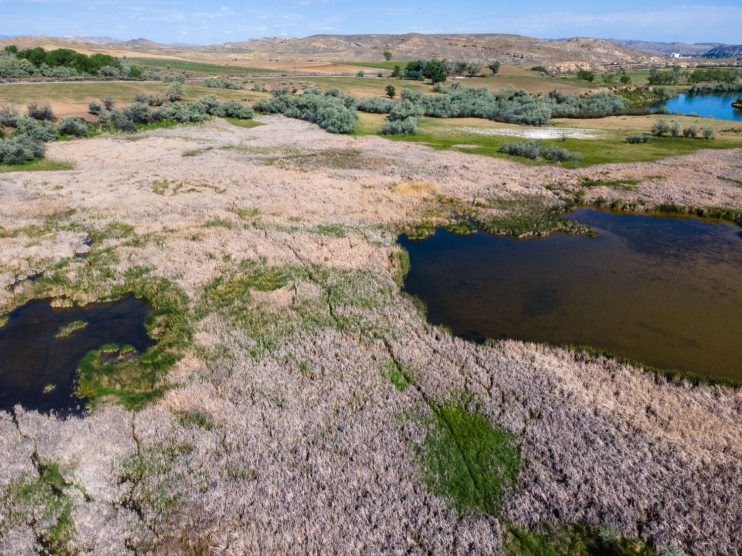 Aerial view of a wetland landscape with small ponds, dry vegetation, and distant blue water under a clear sky.